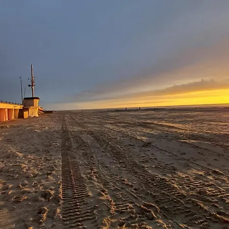Albion, Detente Et Espace Au Coeur Du Touquet *