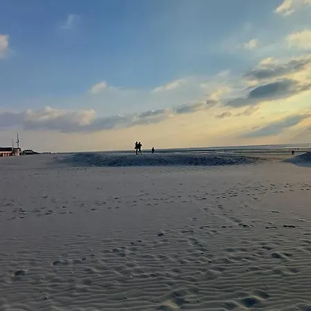 Albion, Detente Et Espace Au Coeur Du Touquet